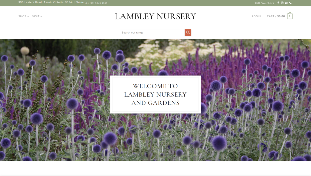 Portfolio 95 Lambley Nursery elementor io optimized