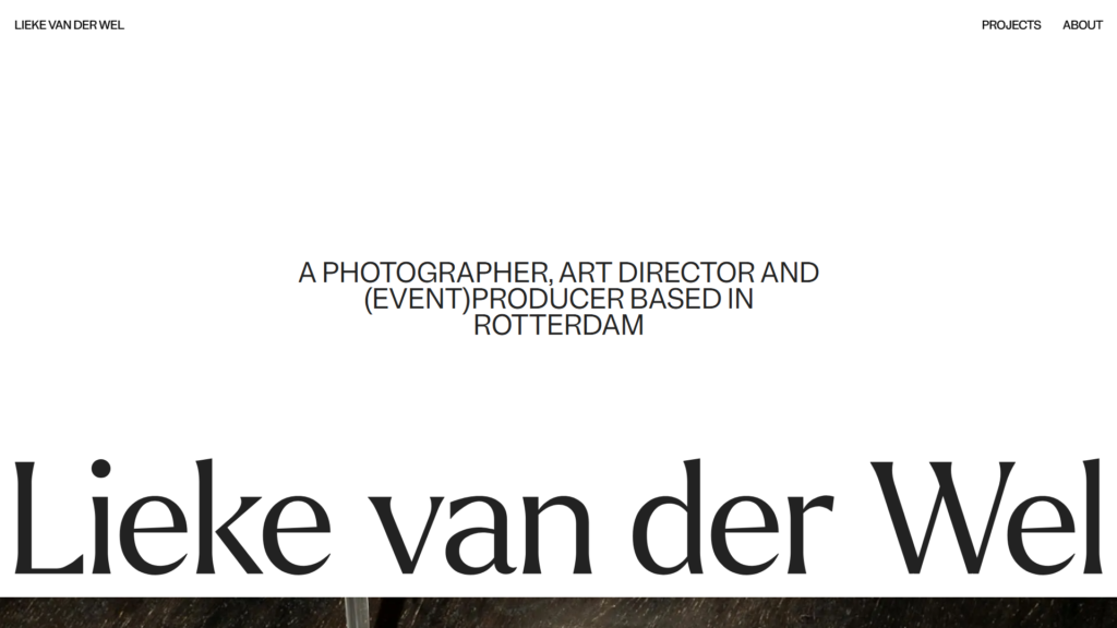 Portfolio 113 Lieke van der wel elementor io optimized
